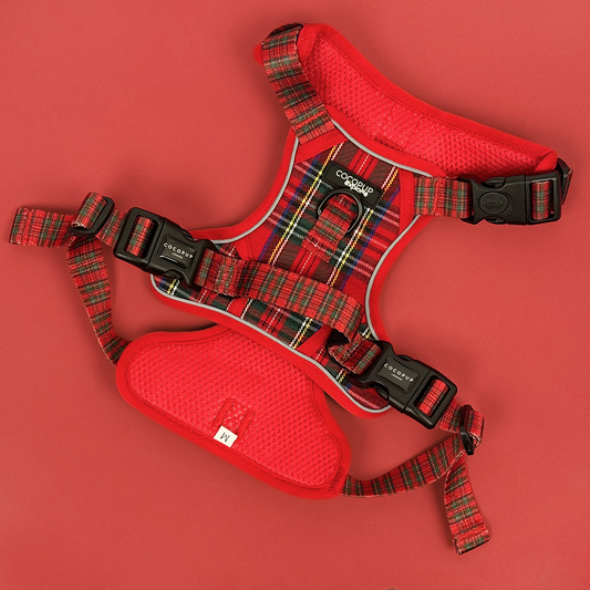 Cocopup London - Explore Harness - Tartan