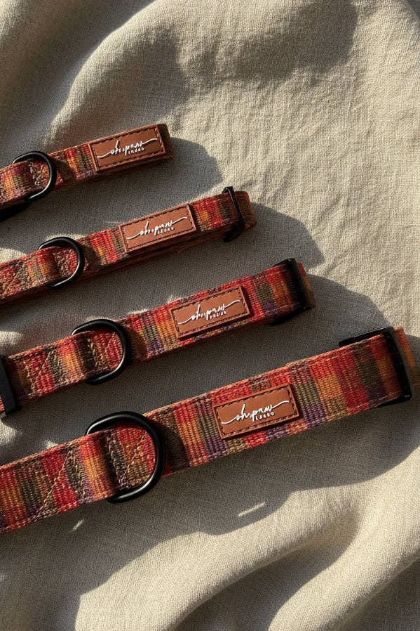 Oh, paw-lease! - Burham Weave Collar