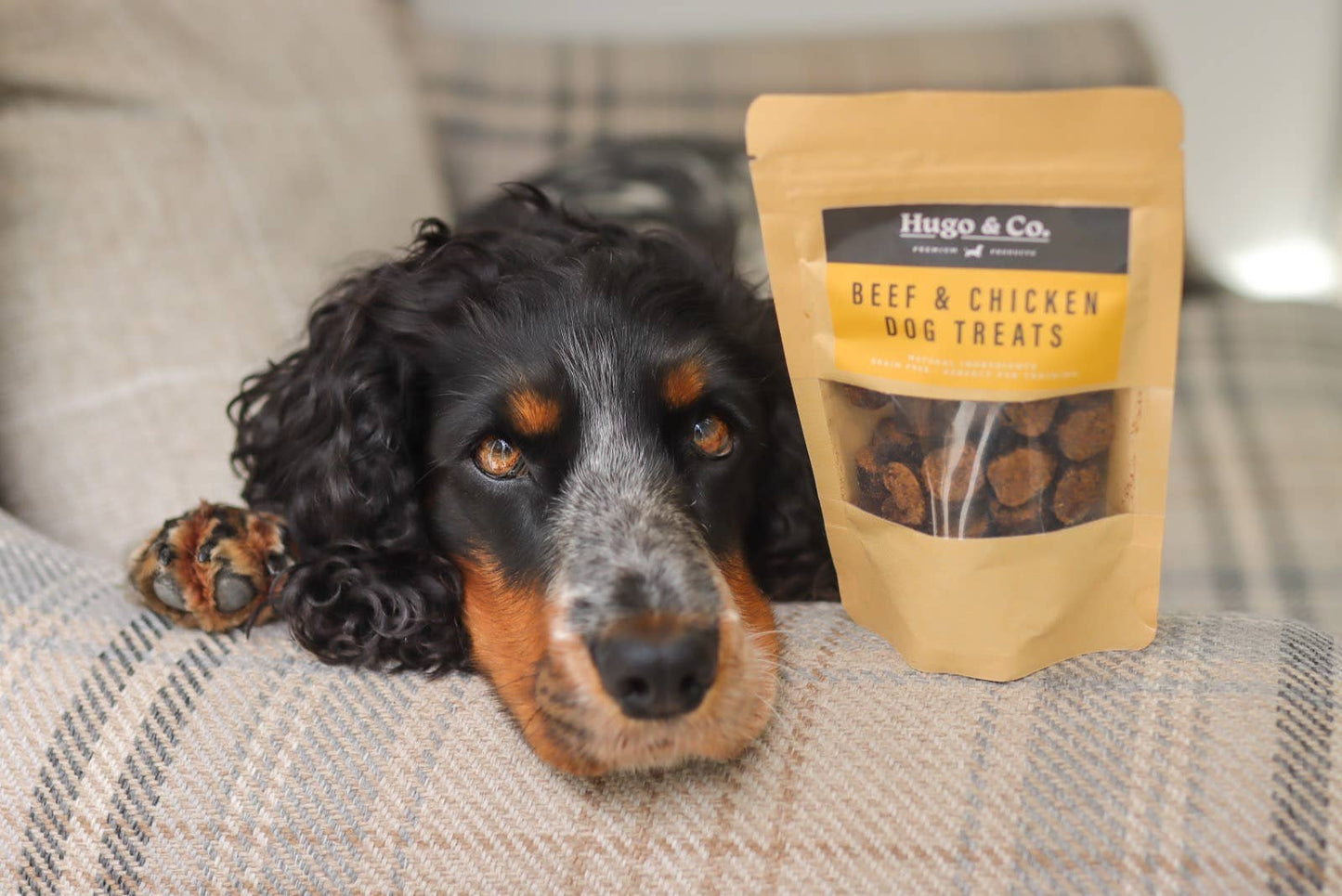 Hugo & Co Dog Treats - Beef & Chicken Dog Treats