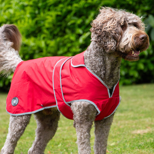 Ancol Pet Products Ltd - Stormguard Soft Shell Dog Coat Bordeaux XS-XXL