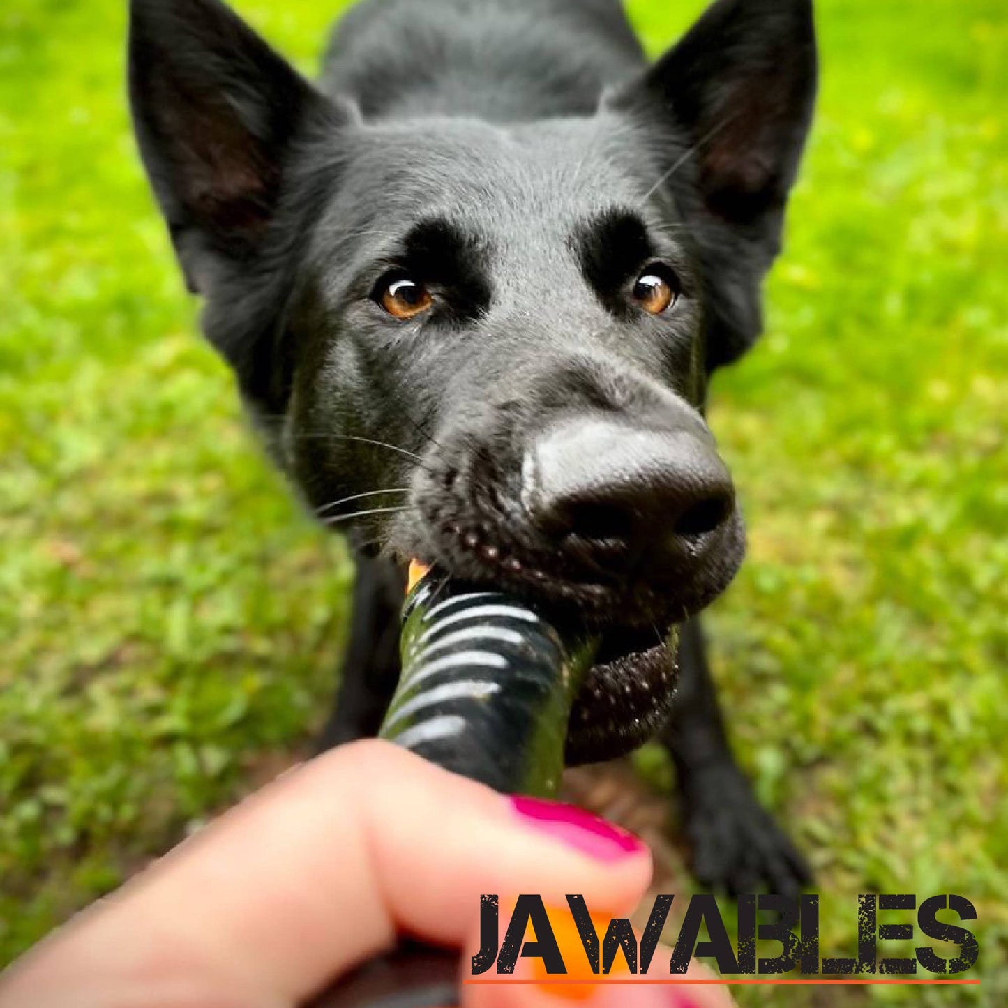 Ancol Pet Products Ltd - Extreme Tough Baton Dog Toy