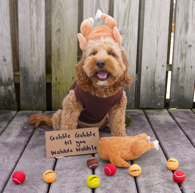 Midlee Designs - Midlee Roasted Thanksgiving Turkey Plush Dog Toy