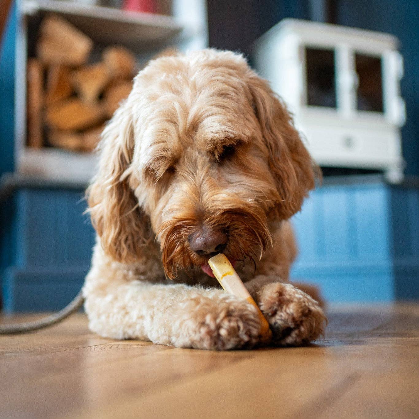 The Canine Menu - Pup Ice Lollies
