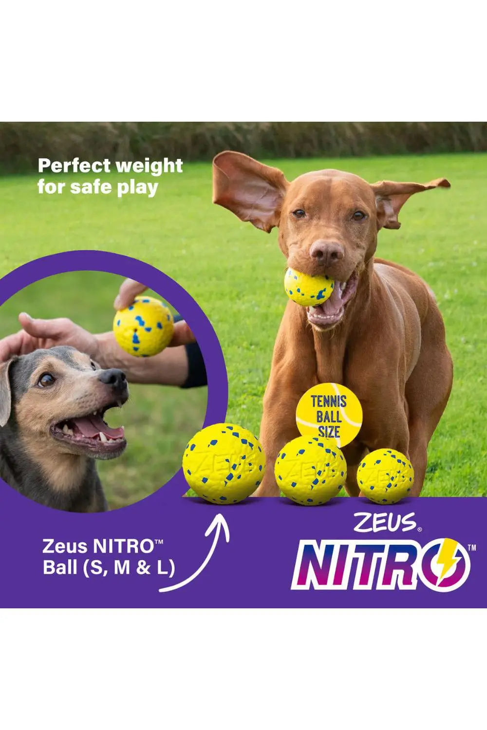 Zeus Nitro - Weighted Ball