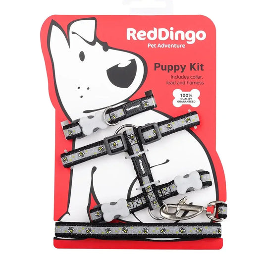Red Dingo Puppy Kit