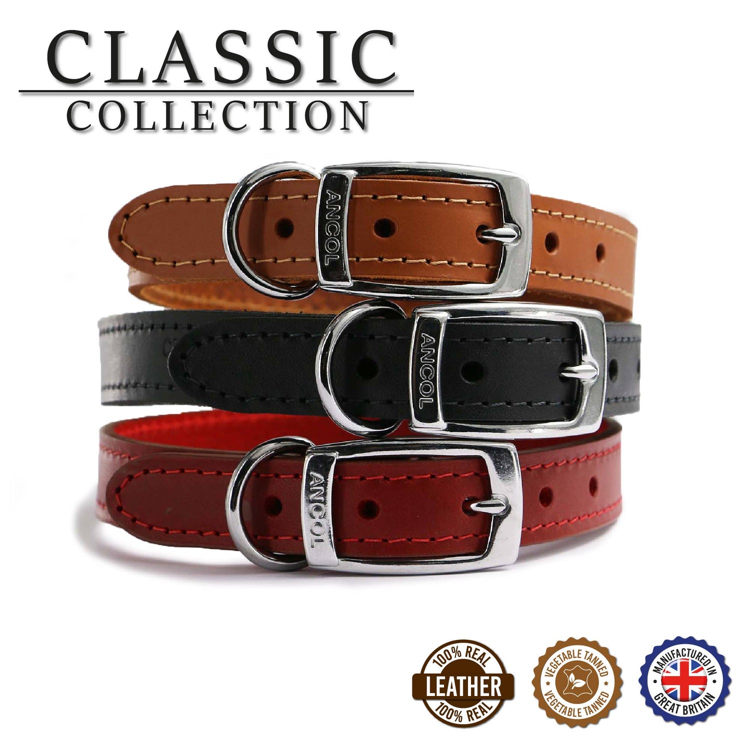 Leads, Collars and Harnesses