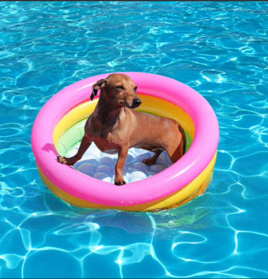 Summer