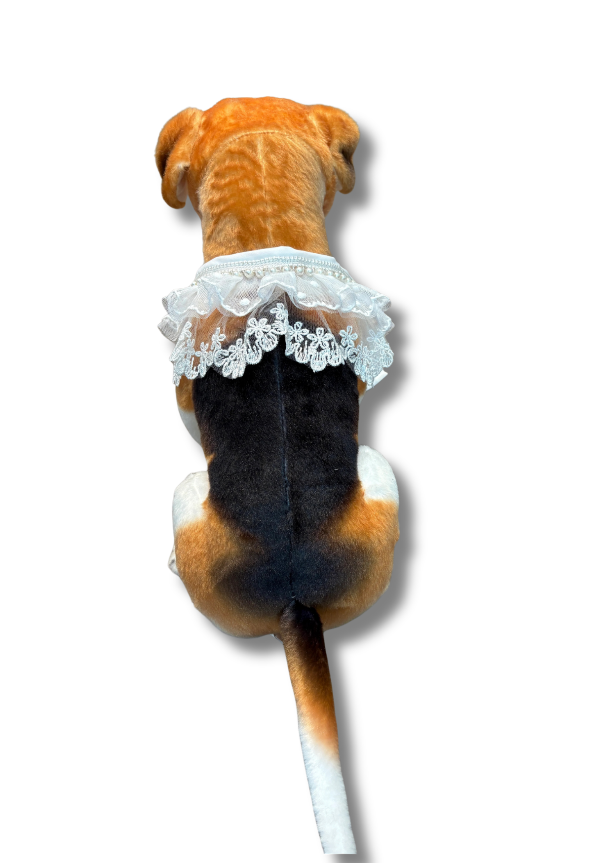 wedding collar