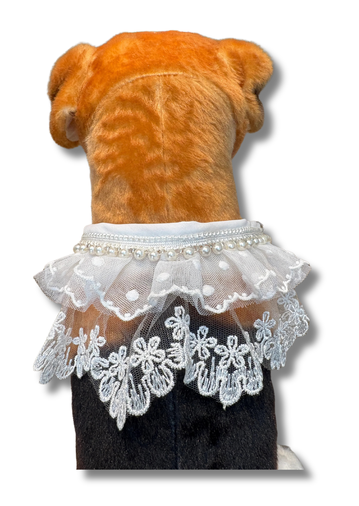 wedding collar