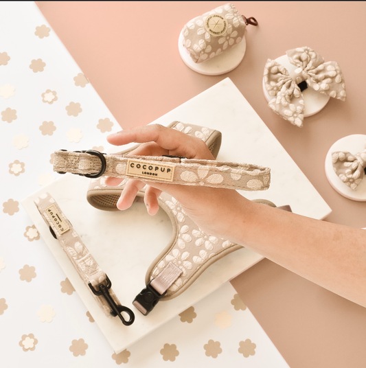 Cocopup London - LUXE Collar - Mocha Flower