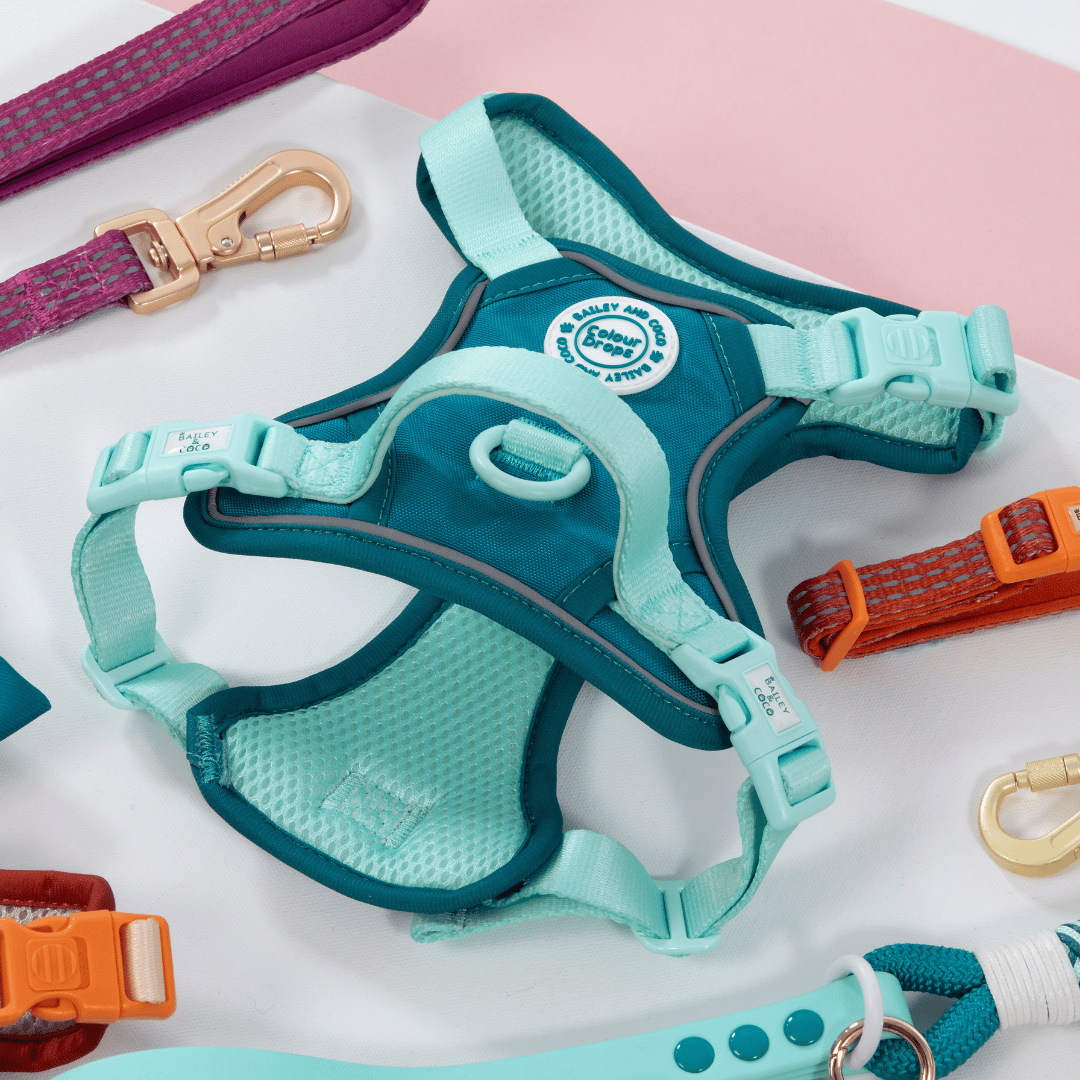 Bailey and Coco - Trail & Glow Dog Harness - COLOUR DROPS® - Ice Teal