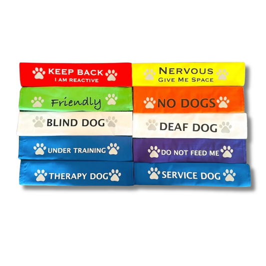 Storms Style - Lead Slips - Reactive, Nervous, Blind, Deaf, Friendly