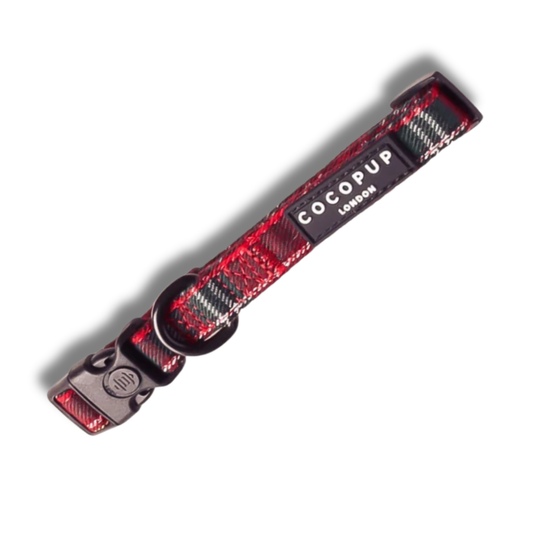 Cocopup London - Tartan COLLAR
