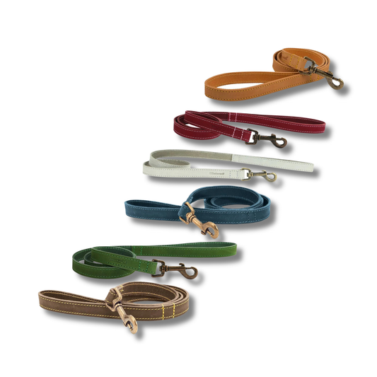 Ancol Pet Products Ltd - Timberwolf Leather Lead - various colours- 1m x 19mm