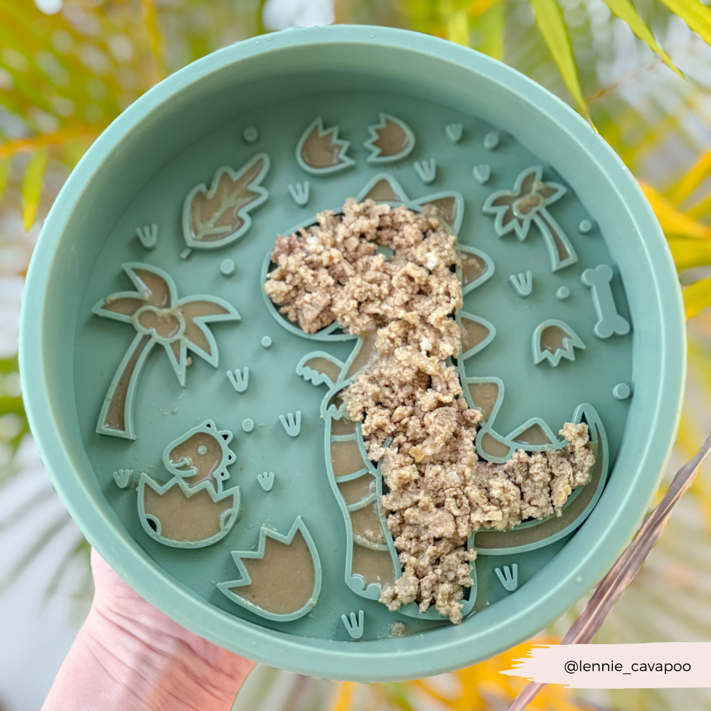 Cocopup London - Silicone Slow Feed Dog Bowl - Dinopaws