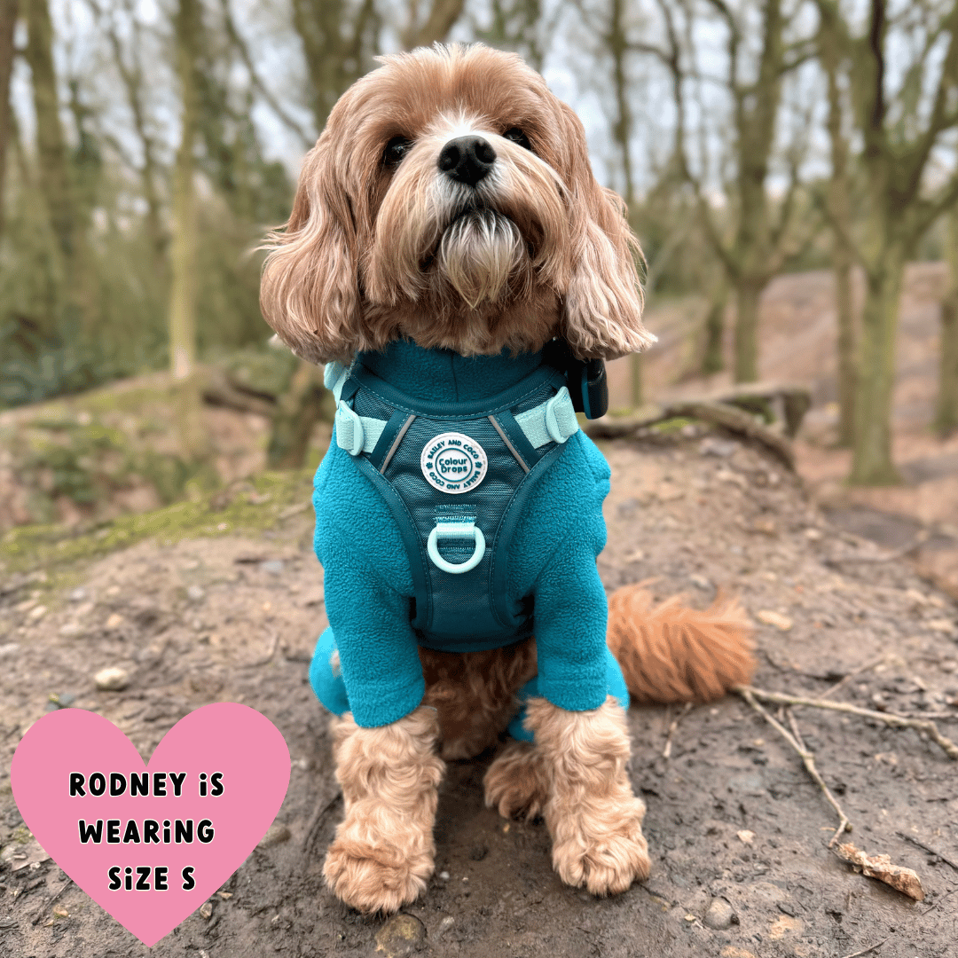 Bailey and Coco - Trail & Glow Dog Harness - COLOUR DROPS® - Ice Teal