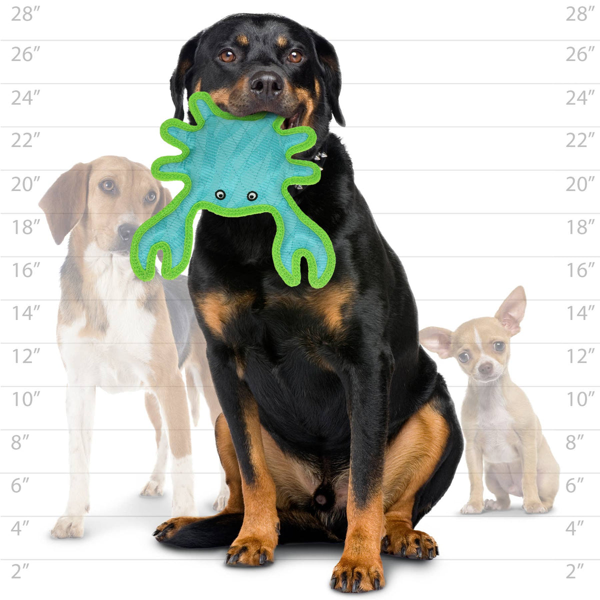 Tuffy Dog Toys - VIP Products - DuraForce Crab Tiger - Blue/Green, Durable, Squeaky Dog Toy