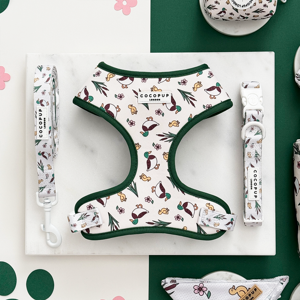 Cocopup London - Puddle Pup Collar