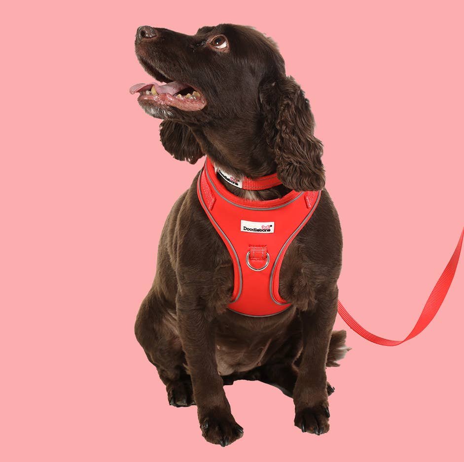 Doodlebone - Adjustable Airmesh Dog Harness