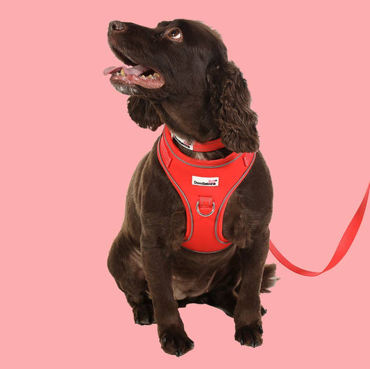 Doodlebone - Adjustable Airmesh Dog Harness