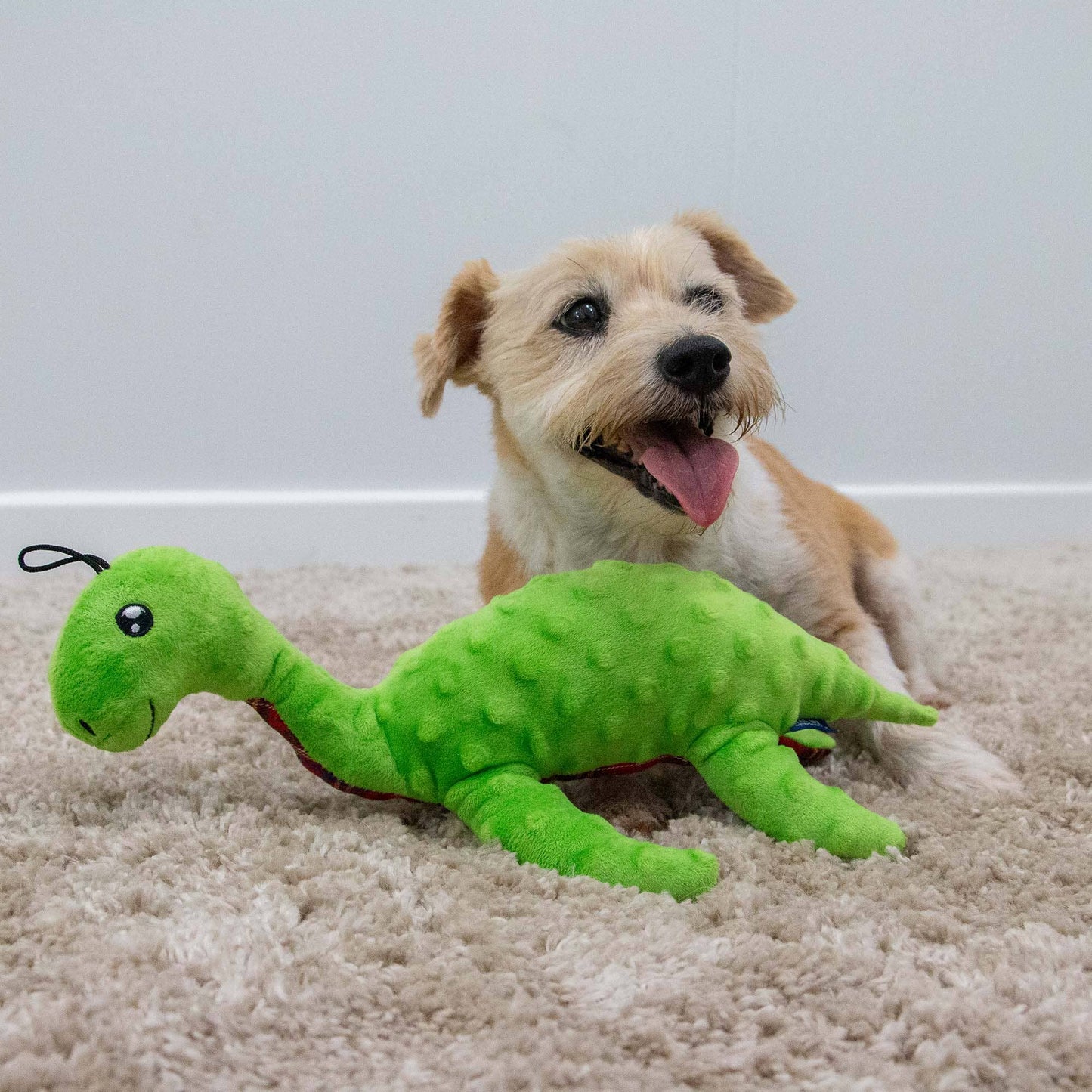 Ancol Pet Products Ltd - Playtime for Dogs Cuddle Lottie Loch Ness Monster