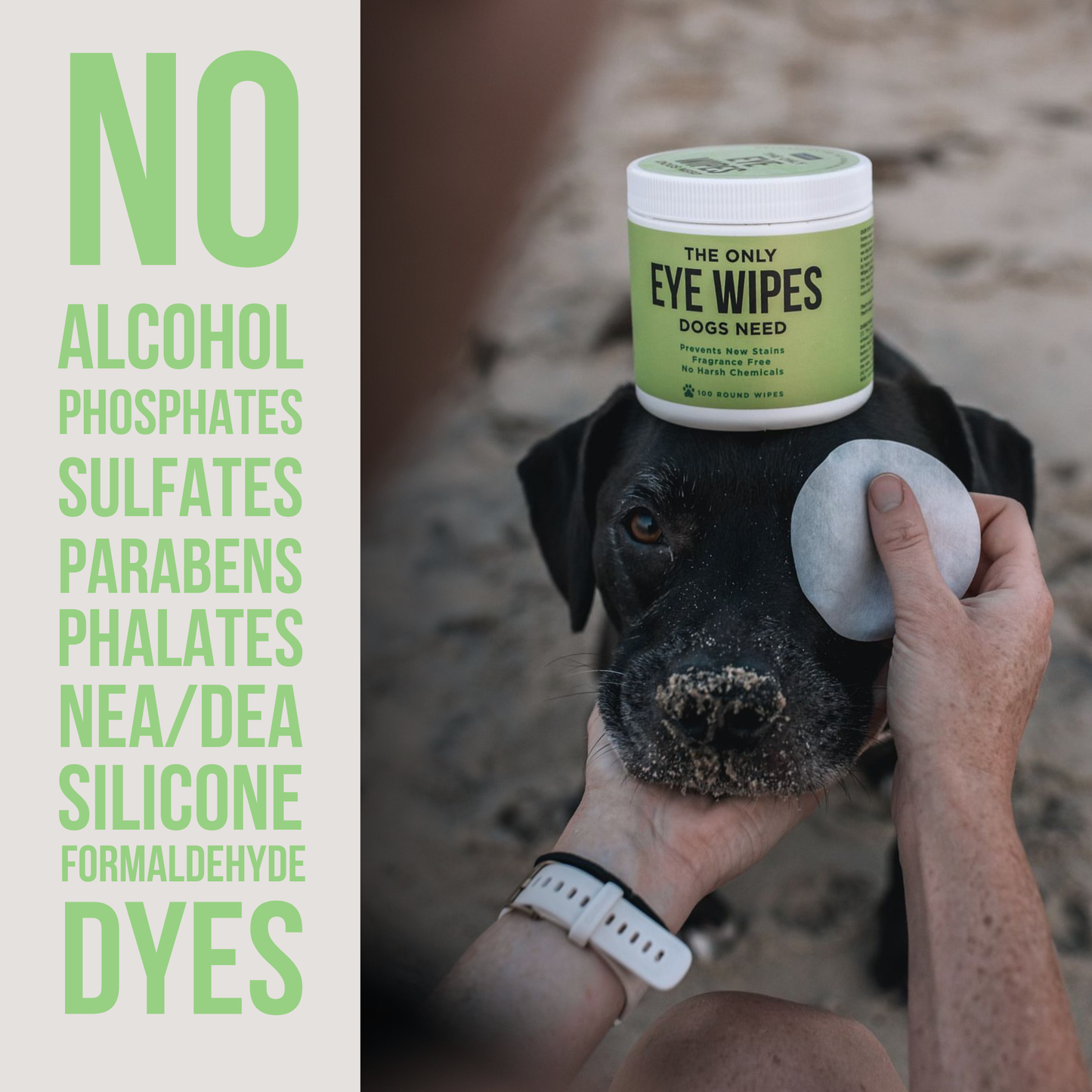 Natural Rapport - The Only Eye Wipes Dogs Need