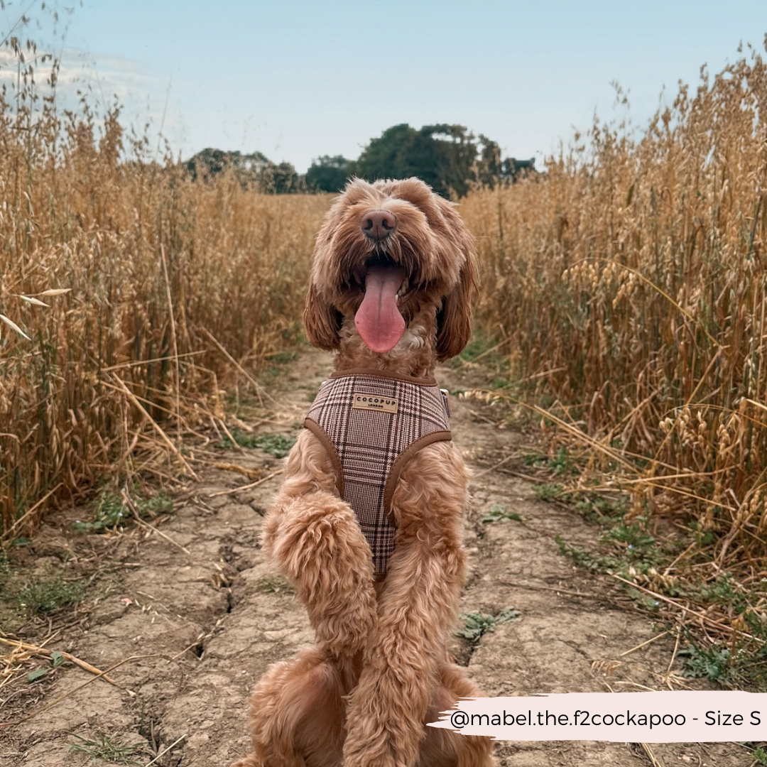 Cocopup London - Pup Plaid Adjustable Neck Harness