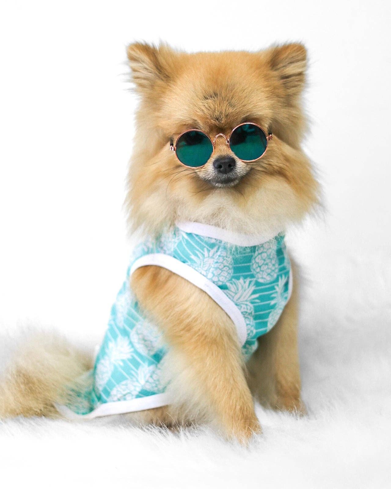 The Paw Print Boutique - The Pineapple Pawty Cooling Vest