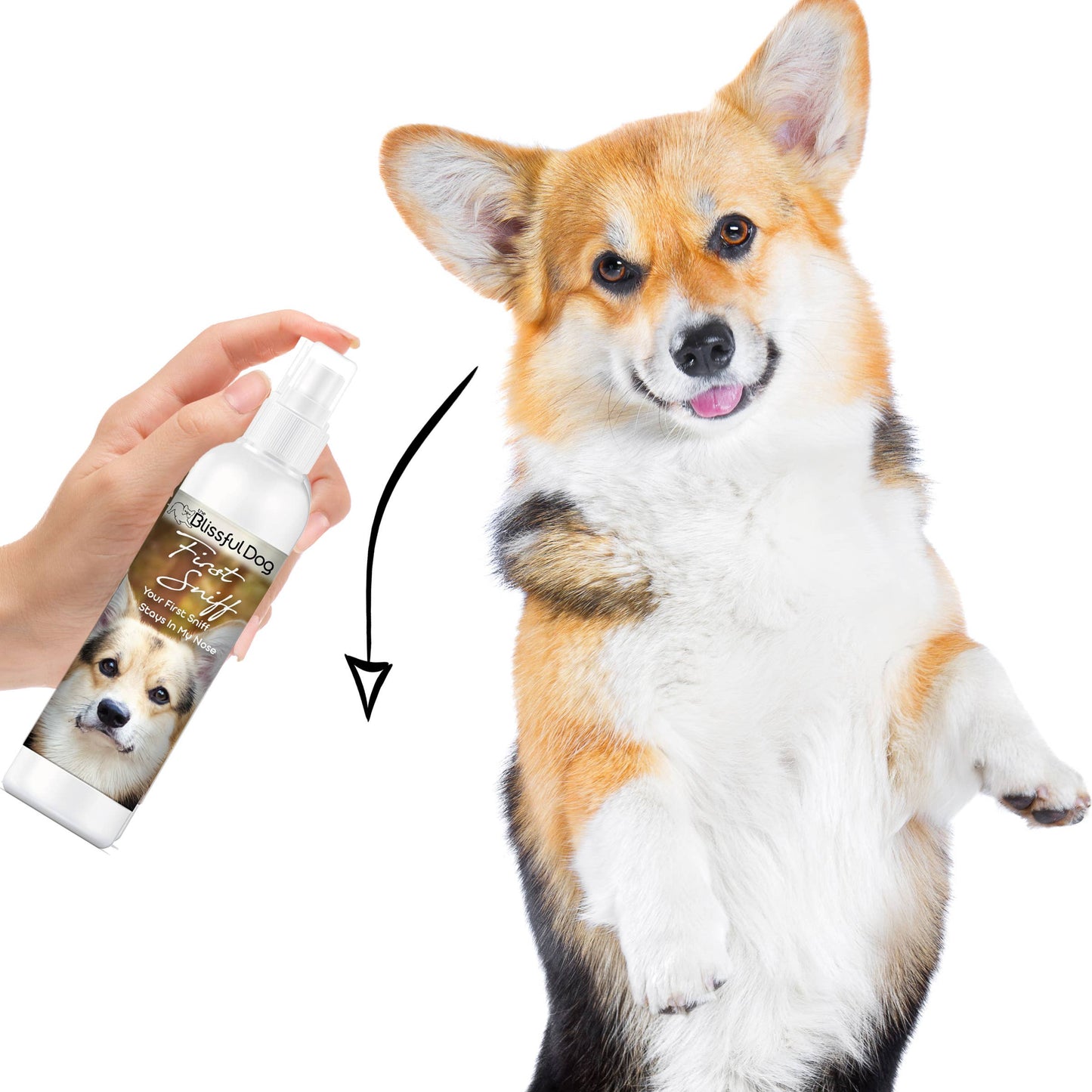 First Sniff Dog Cologne First Sniff Stays on Your Mind