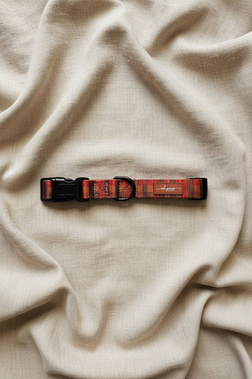 Oh, paw-lease! - Burham Weave Collar