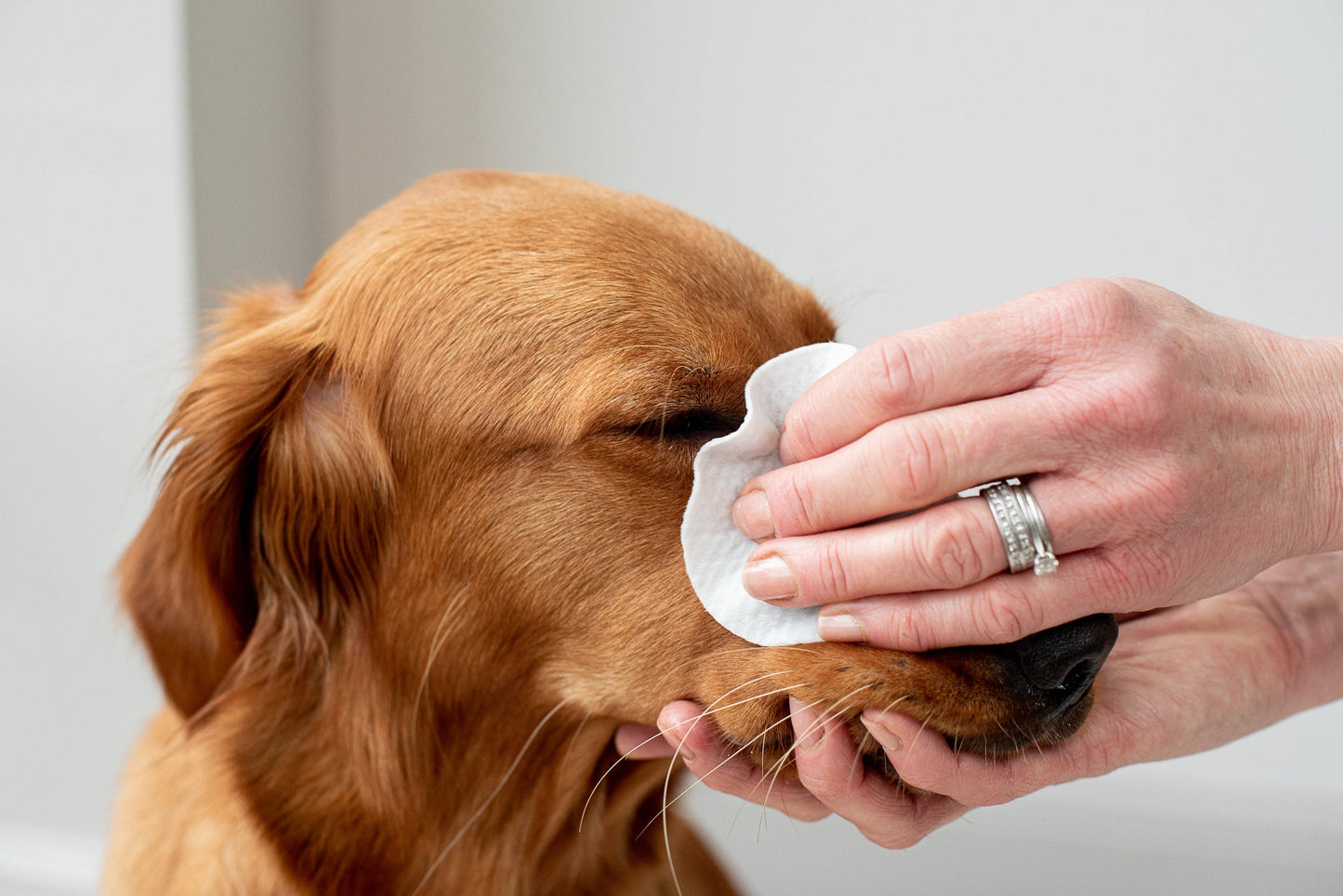 Pet Wiz - Aloe Vera Eye Wipes