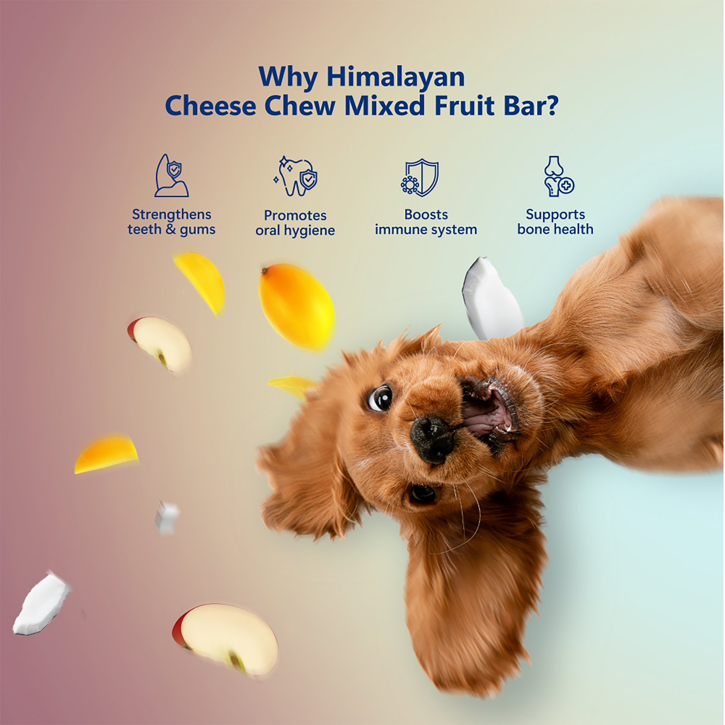 Pawfect Foods - Himalayan Cheese Chews with Apple, Mango & Coconut