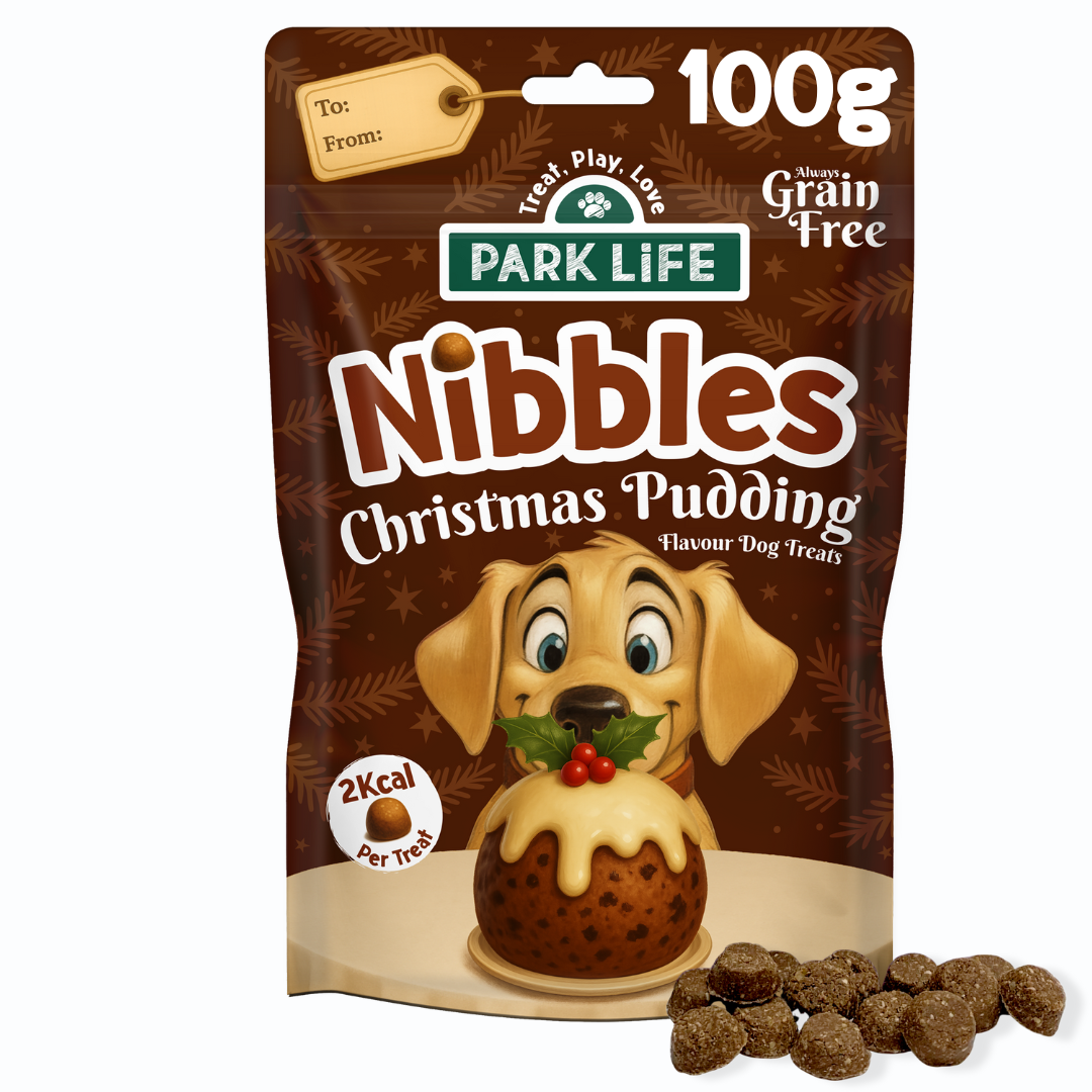PARK LiFE - Nibbles Christmas Pudding 100g 10 PACK