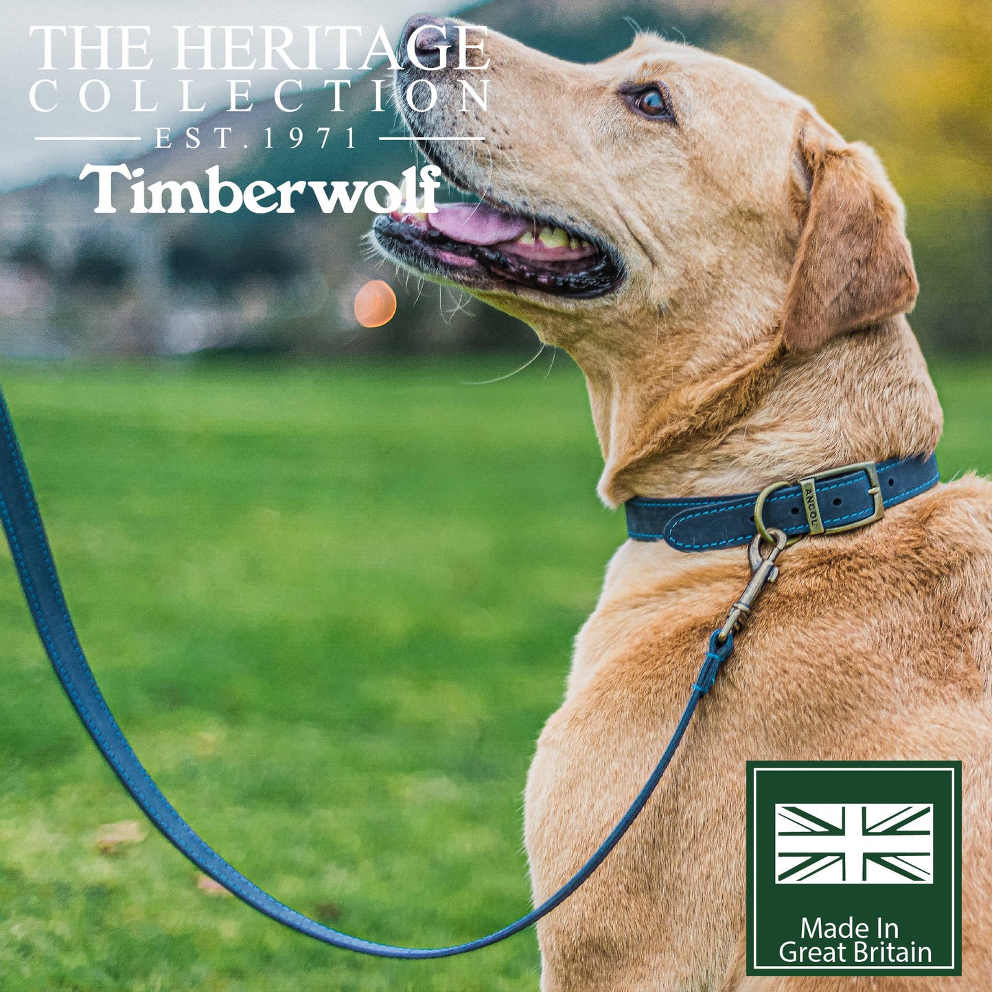 Ancol Pet Products Ltd - Timberwolf Leather Lead - various colours- 1m x 19mm