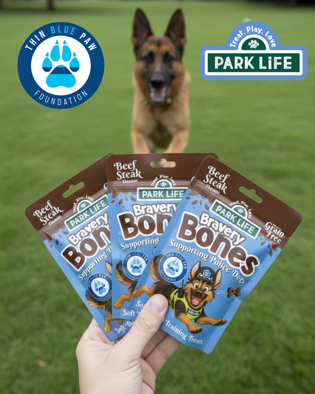 PARK LiFE - Bravery Bones Beef Steak Flavour 100g 8 PACK