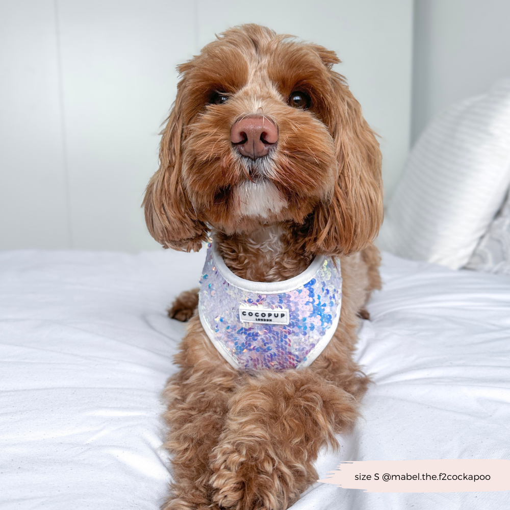 Cocopup London - LUXE Party Holographic Sequin HARNESS