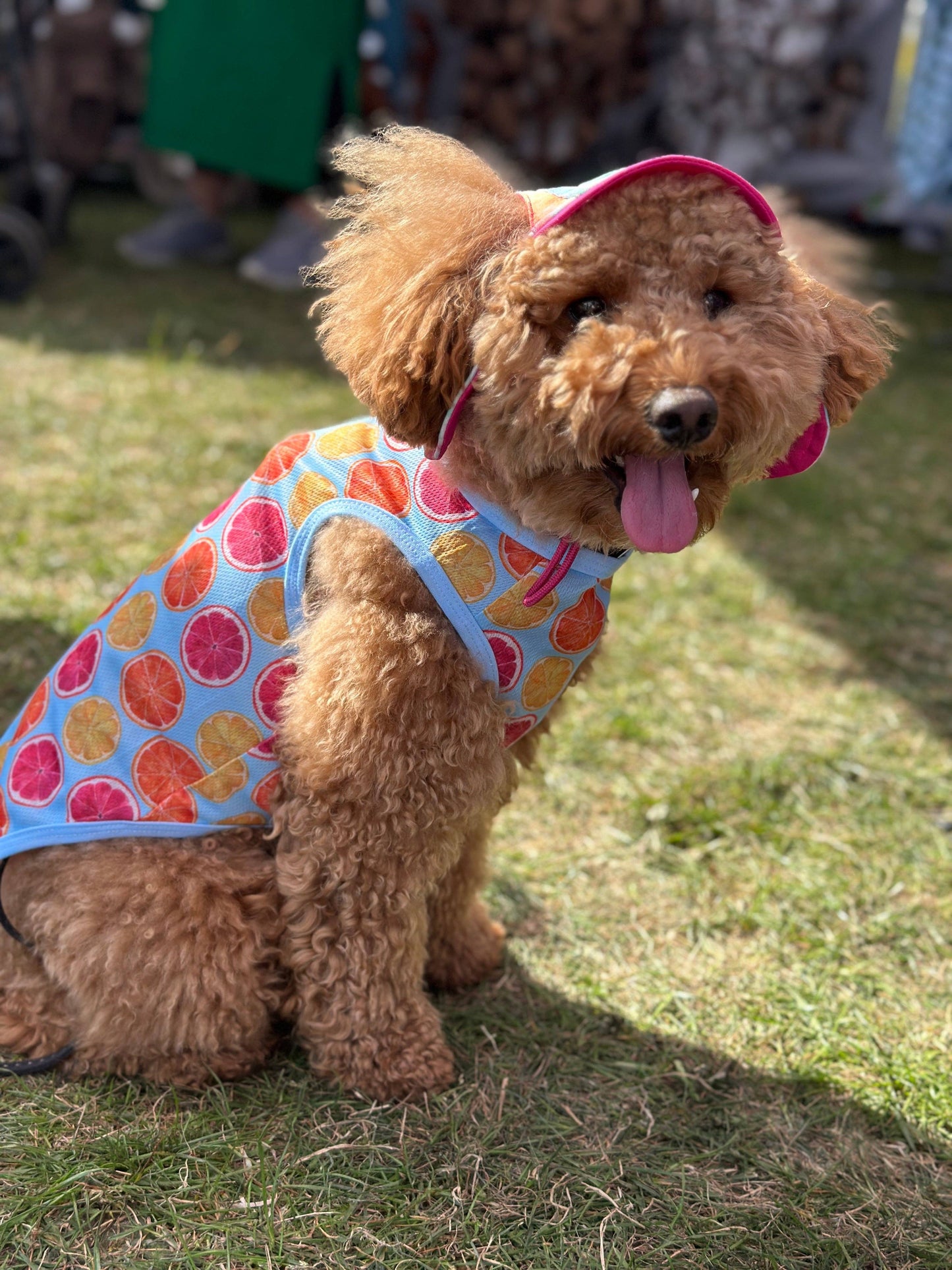 The Paw Print Boutique - Squeeze the Day Cooling Vest