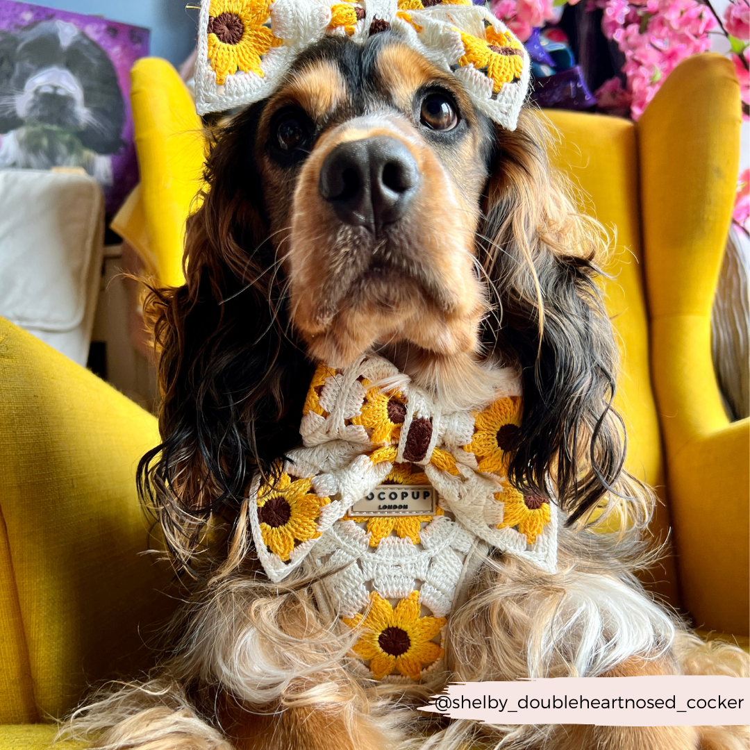 Cocopup London - Sunflower Patch Adjustable Neck Harness