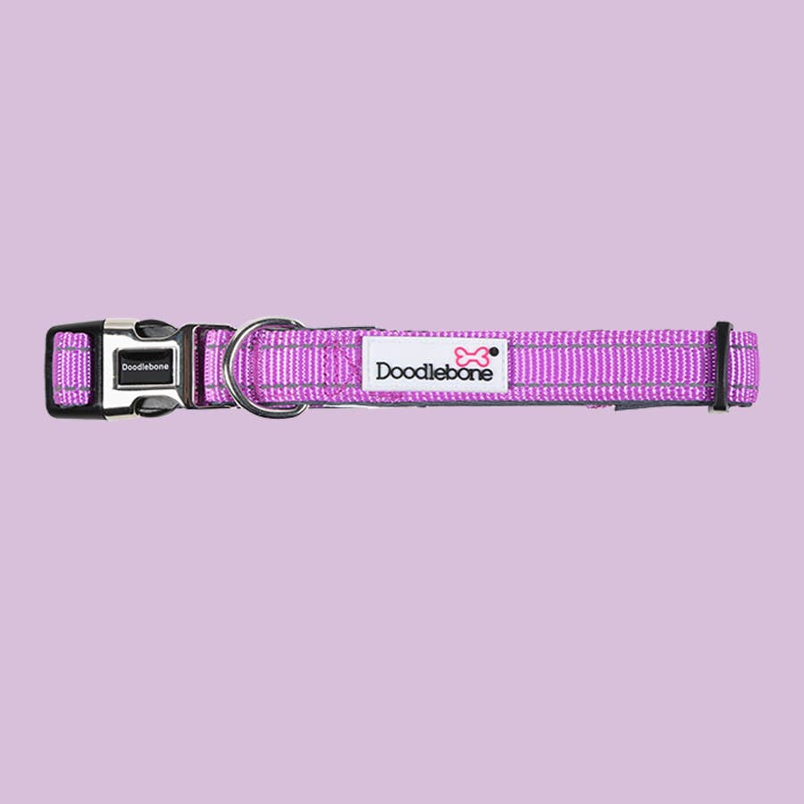 Doodlebone - Padded Dog Collar