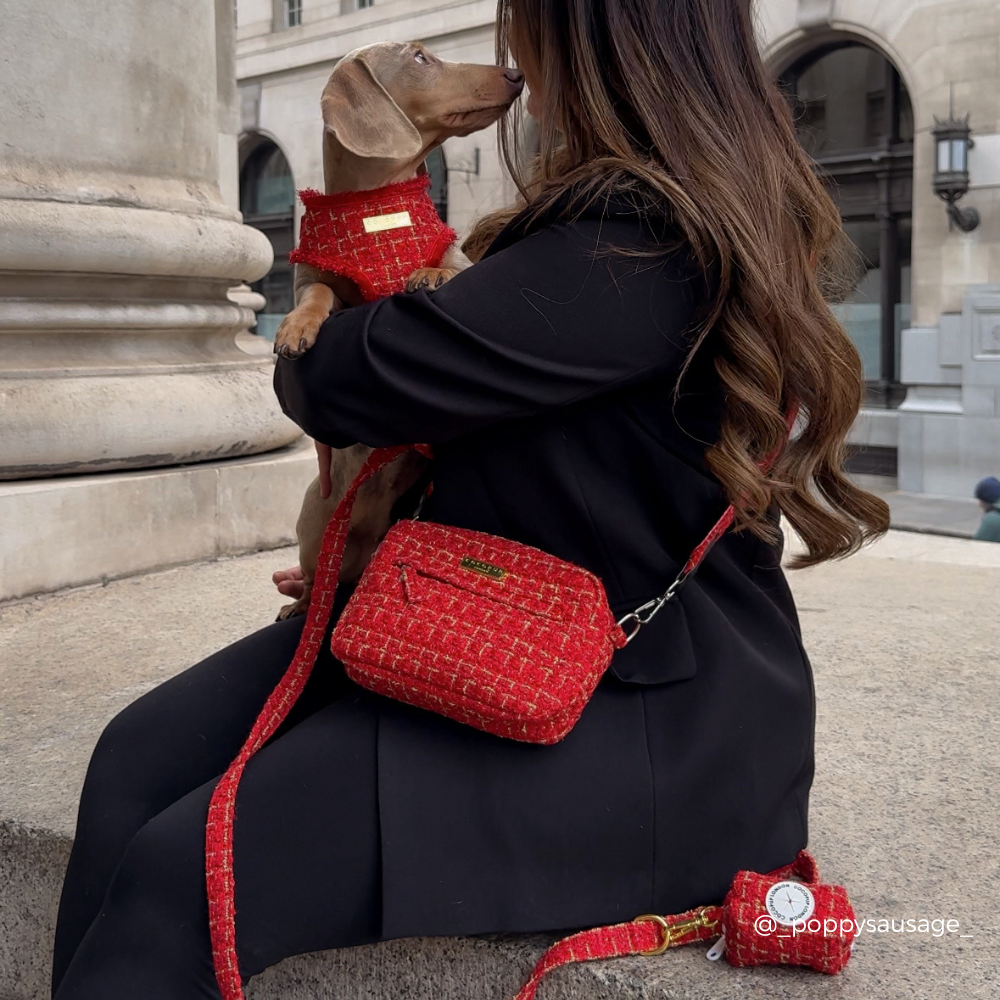 Cocopup London - Red Textured Tweed Lead