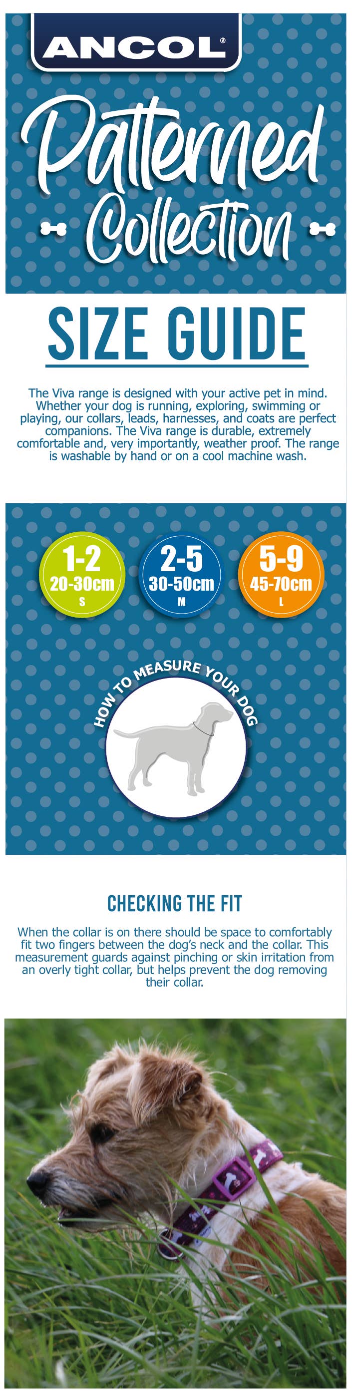 Ancol Pet Products Ltd - Patterned Collection Collar : Rainbow