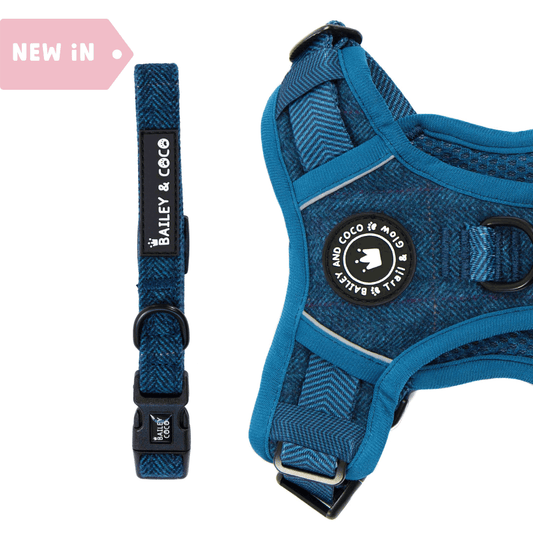 Bailey and Coco - Adjustable Collar -  Sapphire Tweed