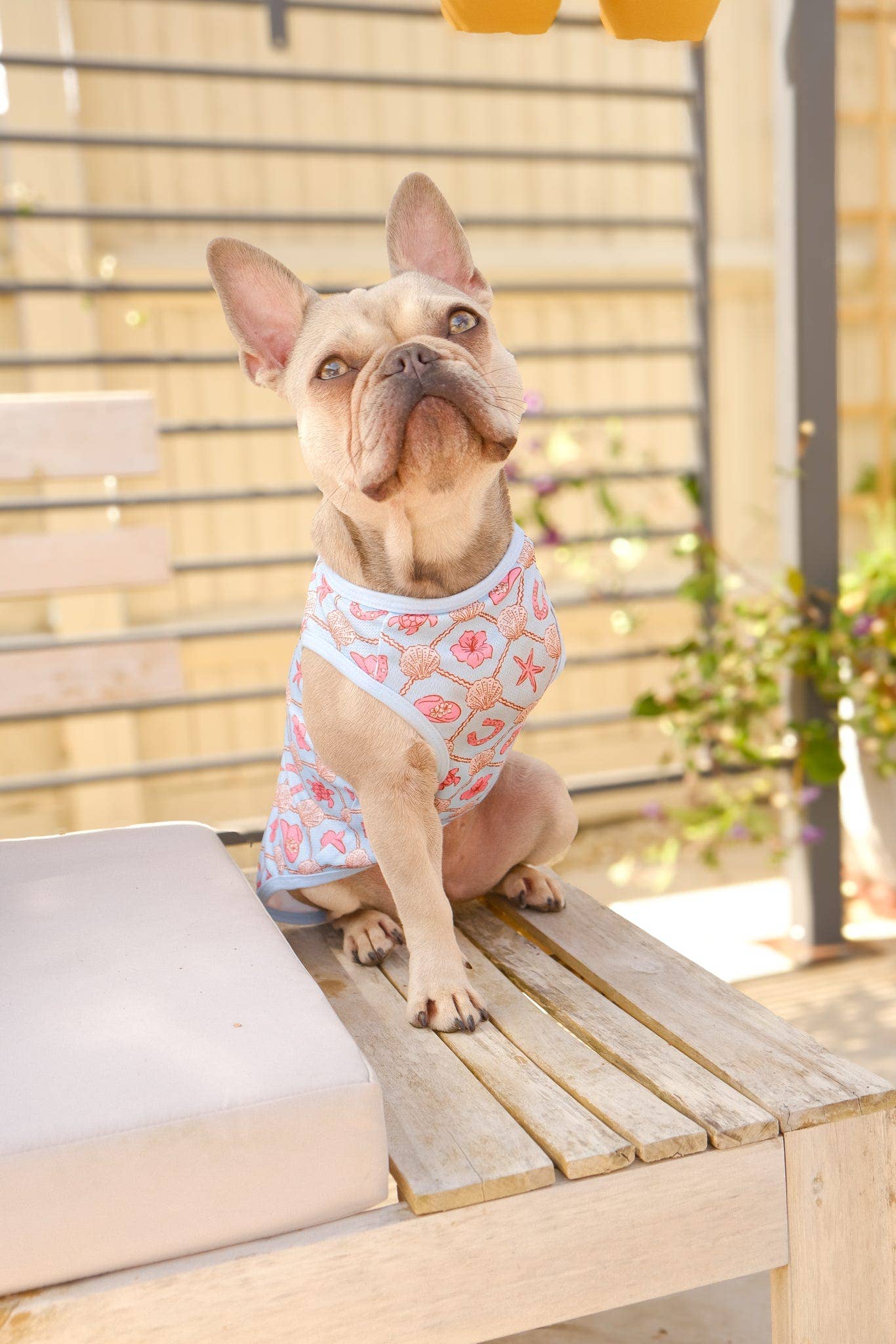 The Paw Print Boutique - She sells Seashells by the YEEHAW Cooling Vest