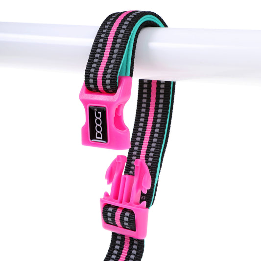 IGSM LTD - DOOG Neon Lead  (Clip It) Rin Tin Tin