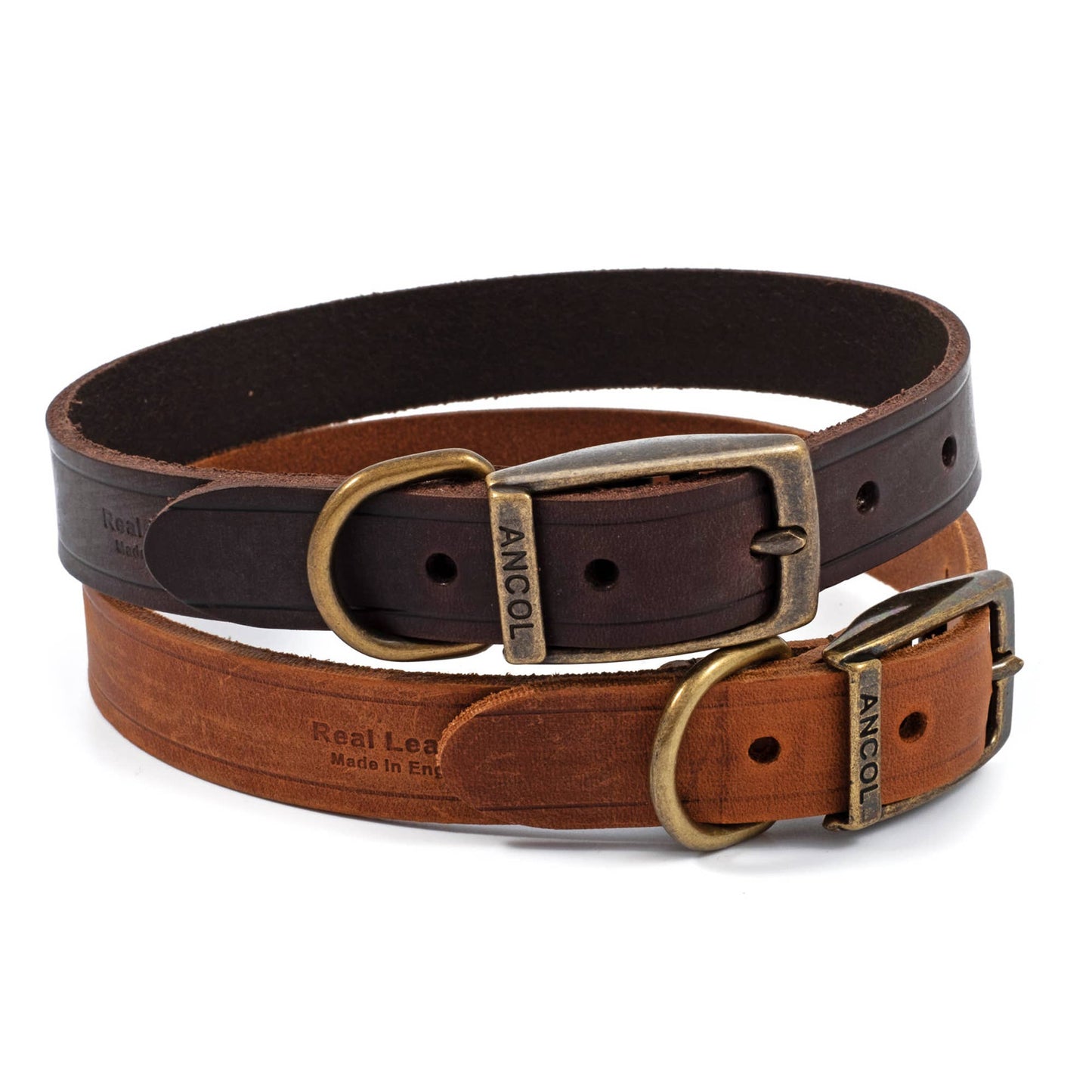 Ancol Pet Products Ltd - Latigo Leather Collar Havana