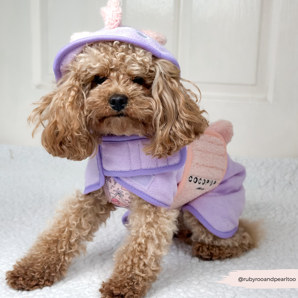 Cocopup London - Nessie the Dino Drying Robe