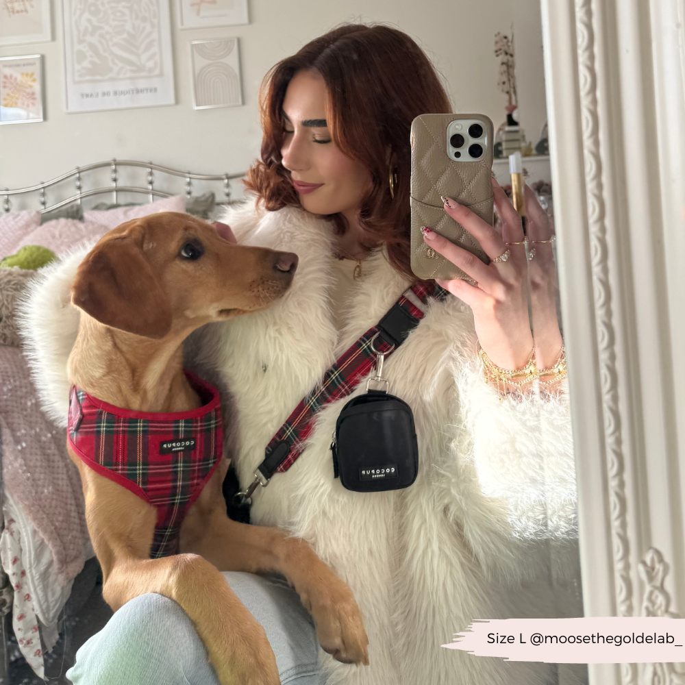 Cocopup London - Tartan Adjustable Neck HARNESS
