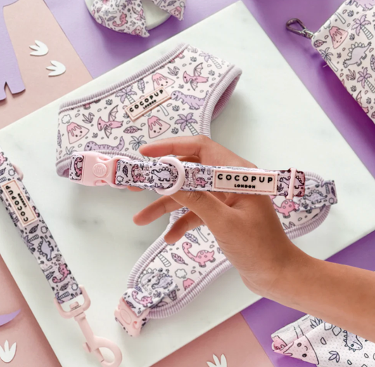 Cocopup London - Princess Dino COLLAR