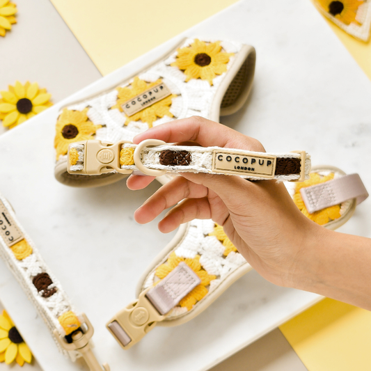 Cocopup London - Sunflower Patch Collar