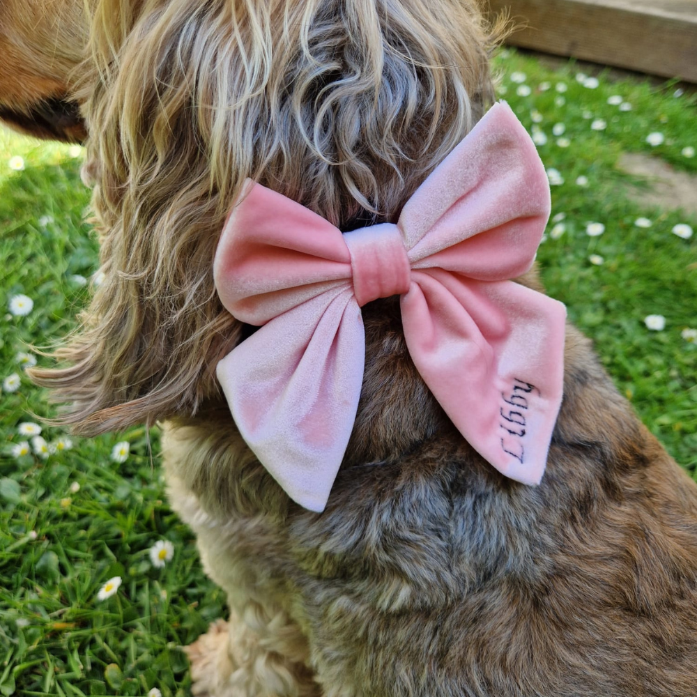 Cocopup London - Luxe Velvet Sailor Bow Tie - Baby Pink